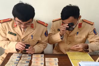 Cảnh sát giao thông sử dụng thiết bị chuyên dụng để quan sát, nhận diện dấu hiệu bất thường của giấy phép lái xe.