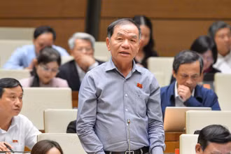 Đại biểu Quốc hội Lê Thanh Vân (Cà Mau).
