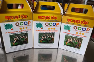 Sản phẩm Mắc-ca Mơ Nông của Hợp tác xã nông nghiệp xanh Quảng Trực, xã Quảng Trực, huyện Tuy Đức, tỉnh Đắk Nông đã được chứng nhận đạt tiêu chuẩn OCOP.