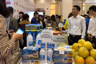Cá doanh nghiệp giới thiệu sản phẩm tại Hội nghị năm 2019.