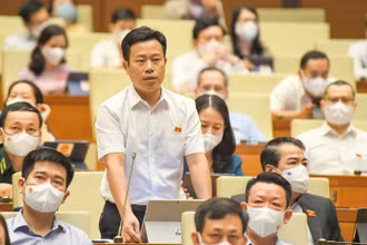Đại biểu Lê Quân (đoàn Cà Mau) đưa ra kiến nghị về tự chủ đại học tại Quốc hội, ngày 25/7