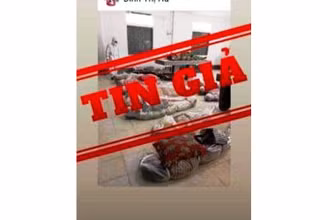 Hình ảnh thi thể do Covid-19 tại TP Hồ Chí Minh là giả