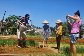 Ảnh minh họa.