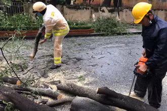 Cảnh sát giao thông cùng nhân viên Công ty Cây xanh thành phố kịp thời có mặt, xử lý sự cố cây xanh gãy đổ.
