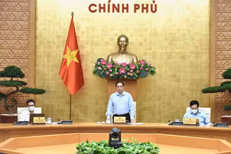 Ảnh: TRẦN HẢI