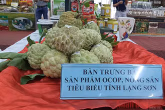 Tổng giá trị sản xuất na thu được ước đạt 1.200 tỷ đồng.