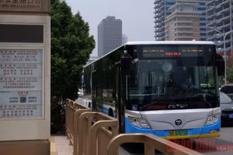 Xe buýt điện đang dần thay thế xe buýt động cơ đốt trong. 