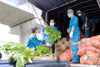Kết nối cung cầu nông sản hỗ trợ các tỉnh phía nam