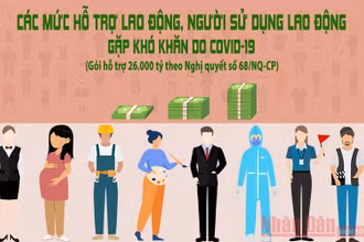 Các mức hỗ trợ trong gói 26.000 tỷ đồng theo Nghị quyết 68