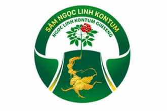 Nhãn hiệu Sâm Ngọc Linh Kon Tum được cấp Giấy chứng nhận đăng ký nhãn hiệu số 387997 cho chủ giấy chứng nhận là UBND tỉnh Kon Tum. 