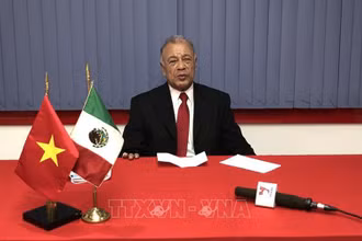 Tổng Bí thư Đảng Lao động Mexico (PT) Alberto Ayana Gutiérrez trả lời phòng vấn TTXVN.