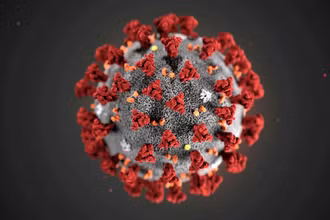Hình minh họa virus SARS-CoV-2 do Trung tâm Kiểm soát và Phòng ngừa Dịch bệnh (CDC) Mỹ phát hành. Nguồn: Reuters.