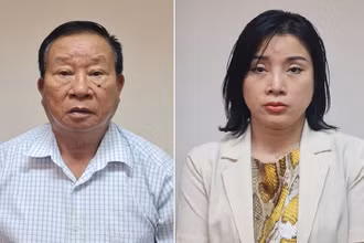 Hai bị can vừa bị khởi tố. 
