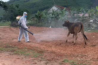 Công tác kiểm soát dịch bệnh trong nông nghiệp, thủy sản, trồng trọt, chăn nuôi là vô cùng quan trọng. (Ảnh minh họa)
