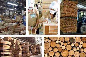 Xuất khẩu lâm sản sáu tháng đầu năm 2021 ước đạt 8,71 tỷ USD, tăng 61,6% so với cùng kỳ năm 2020.