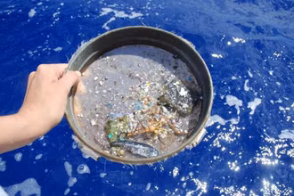 Các loại vi nhựa được vớt từ đại dương. Ảnh: NASA.