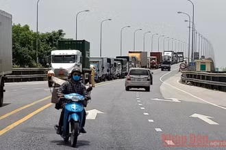 Ảnh minh họa: MAI TÚ