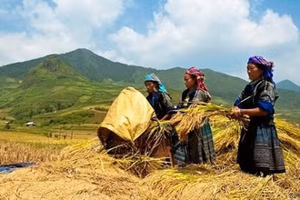 Phê duyệt Chương trình phát triển thương mại miền núi, vùng sâu, vùng xa và hải đảo giai đoạn 2021-2025