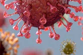 Mô phỏng hình ảnh virus SARS-CoV-2. (Ảnh: Getty Images)