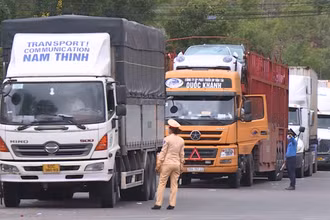 Tỉnh Bình Định đang tăng cường kiểm soát đối với các xe tải đường dài, xe khách... đi qua địa bàn.