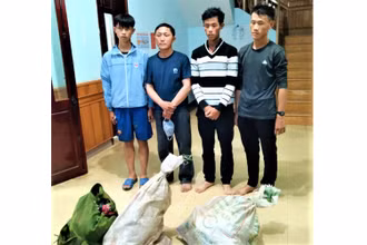 Bốn đối tượng Thào Chuẩn Thảng, Sùng Mí Phứ, Sùng Mí Vư và Sùng Mí Thắng cùng tang vật khi bị bắt giữ.