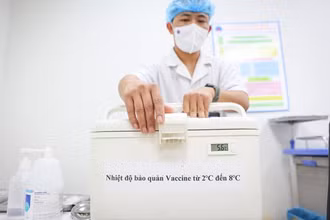 Hộp lạnh sẽ bảo quản vaccine ở nhiệt độ 2-8°C có kèm theo thiết bị theo dõi nhiệt độ. Ảnh: Vietnam+