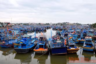 Cảng cá kết hợp Khu neo đậu tàu thuyền tránh trú bão cho tàu cá La Gi là cảng có mật độ tàu thuyền ra vào và neo đậu lớn nhất trong số các cảng cá của tỉnh Bình Thuận.