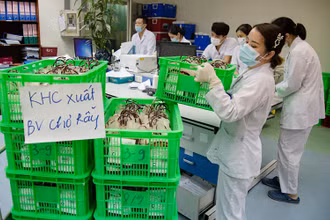 1.000 đơn vị máu mới tiếp nhận với hạn sử dụng dài (đến đầu tháng 9/2021) được cung cấp cho Bệnh viện Chợ Rẫy.