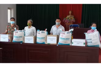 Mặt trận Tổ quốc nhiều quận, huyện đã nhanh chóng triển khai và trao quà hỗ trợ tới các hộ nghèo.