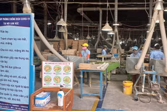 Doanh nghiệp Nhất Hưng Group vừa căng mình chống dịch vừa tập trung sản xuất kinh doanh.