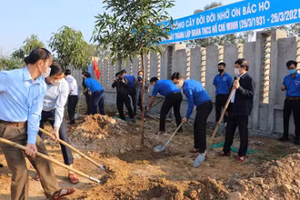 Trồng cây xanh trong khuôn viên dự án Trung tâm Thanh thiếu niên tỉnh Nghệ An. (Ảnh: Quang Thành)