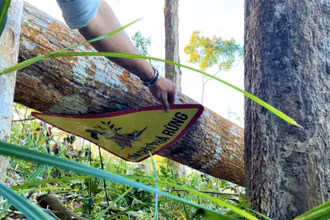 Lâm tặc vẫn ngang nhiên chặt phá rừng, dù được treo bảng cấm.