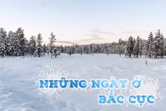 Những ngày ở Bắc Cực