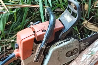 Bắt quả tang đối tượng khai thác lâm sản trái phép
