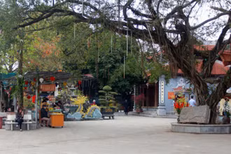 Du khách đến Khu di tích đền Hạ, phường Tân Quang, thành phố Tuyên Quang giảm mạnh so các năm.