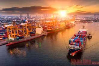 FTA mở ra “đường cao tốc” cho hàng hóa Việt.