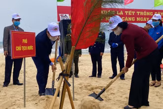 Phó Chủ tịch nước Đặng Thị Ngọc Thịnh trồng cây đầu xuân Tân Sửu tại Quảng Bình.