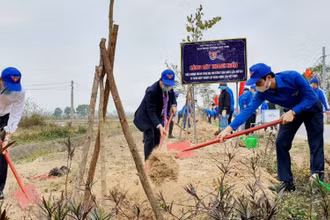 Đồng chí Bùi Quang Huy (bên phải trong ảnh) và đại diện lãnh đạo địa phương trồng cây hưởng ứng “Ngày thanh niên hành động”. 