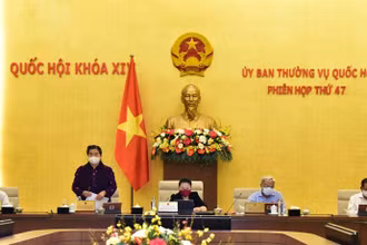 Phó Chủ tịch Thường trực Quốc hội Tòng Thị Phóng điều hành phiên họp sáng 11-8. (Ảnh: QUANG KHÁNH)