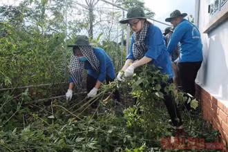 Sinh viên tình nguyện Trường đại học Luật Hà Nội phát quang, dọn cỏ ở trạm xá và dọc đường khu vực thôn La Ve, xã Bản Hồ, Sa Pa.