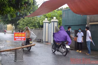 Tất cả các hướng ra vào ổ dịch mới phát sinh ngày 6-8 tại xã Tây Ninh (Tiền Hải, Thái Bình) đều được kiểm soát.