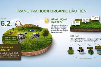 Năng lượng mặt trời, nguồn đất và hệ thống Biogas tại Trang trại Bò sữa Vinamilk Organic Đà Lạt.