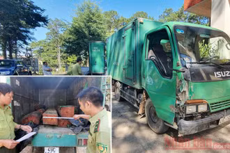 Ô tô cùng tang vật gỗ lậu tại cơ quan kiểm lâm.