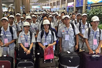 Lao động đi làm việc ở nước ngoài (Ảnh minh họa: Dolab).