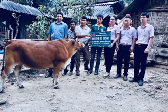 Ngân hàng chính sách xã hội huyện trao tặng bò giống cho hộ nghèo của xã Hữu Kiệm.