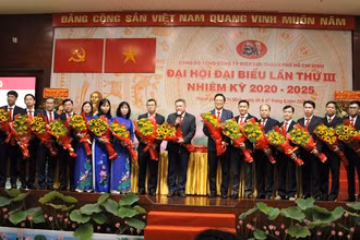 Ban Chấp hành Đảng bộ Tổng công ty Điện lực TP Hồ Chí Minh nhiệm kỳ 2020-2025 ra mắt Đại hội.