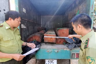 Ô-tô cùng tang vật vụ việc tại cơ quan kiểm lâm.