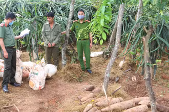 Đối tượng Nguyễn Đăng Thảo cất giấu thuốc nổ và đầu đạn trong vườn nhà.