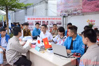 Giới trẻ Việt Nam và khu vực đang phải đối mặt với thách thức lớn trên thị trường lao động do ảnh hưởng của dịch bệnh. (Ảnh minh họa: THANH SƠN)