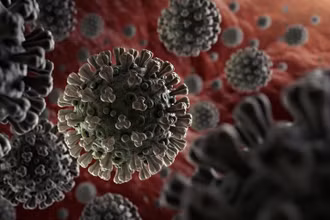 Ảnh minh họa virus SARS-CoV-2. (Nguồn: WHO)